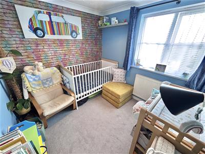 Picture 11